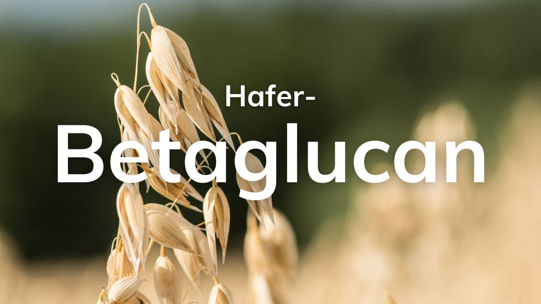 Betaglucan und Diabetes Typ 2